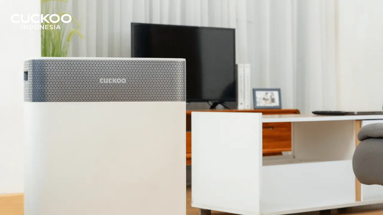 perbedaan air purifier humidifer diffuser